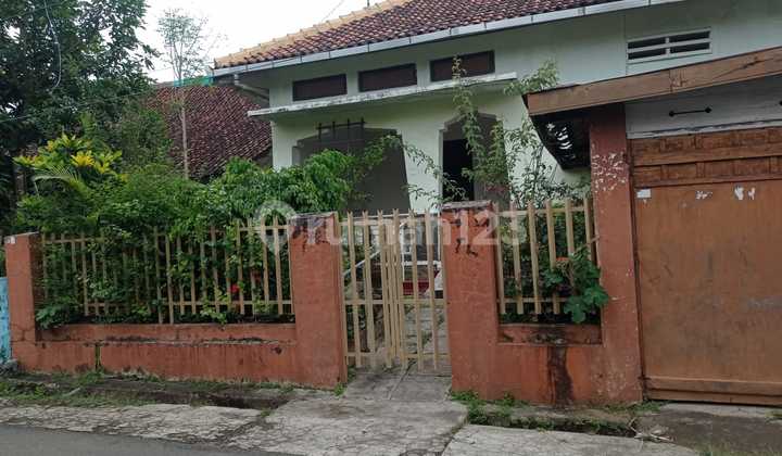 Rumah Gede Nuansa Nyaman Cocok Utk Rumah Masa Tua di Kutoarjo  2