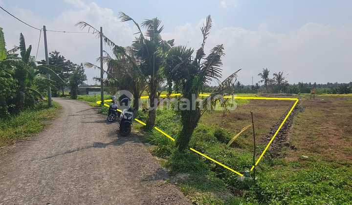Tanah Kavling Zona Akomodasi Wisata Di Kawasan Premium Dekat Pantai Kedungu