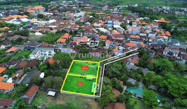 Land For 31 years Lease near Berawa Canggu 2