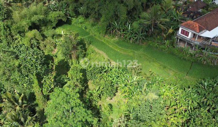 Tanah View Sawah dan Sungai Cocok di Ubud 2