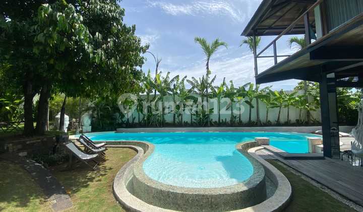 Room Villa For Monthly Rental In Berawa Canggu