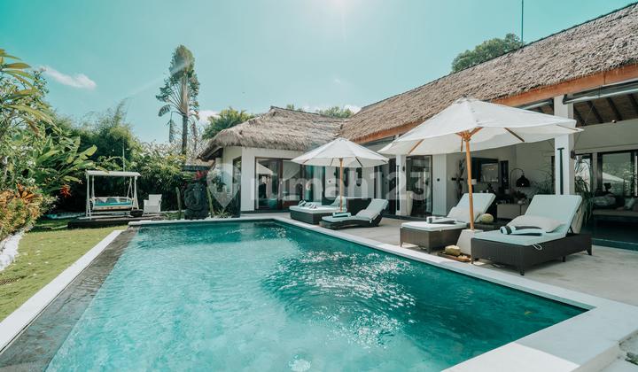 Beautiful Villa The Jungle At Buduk Near To Berawa Canggu Beautiful Villa The Jungle At Buduk Near To Berawa Canggu