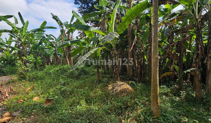 Dijual Tanah Kavling Perumahan Di Bongan Tabanan 1