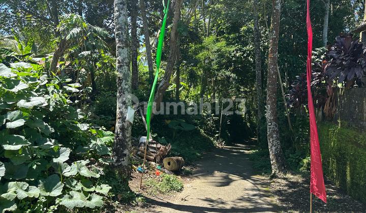 Land For Long Lease At Keliki Only 10mins To Center Ubud