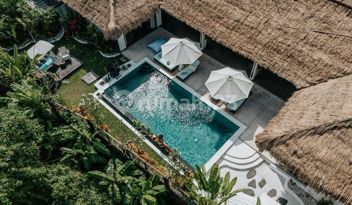 Beautiful Villa The Jungle At Buduk Near To Berawa Canggu Beautiful Villa The Jungle At Buduk Near To Berawa Canggu