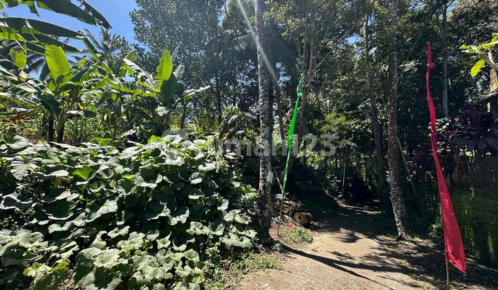 Land For Long Lease At Keliki Only 10mins To Center Ubud
