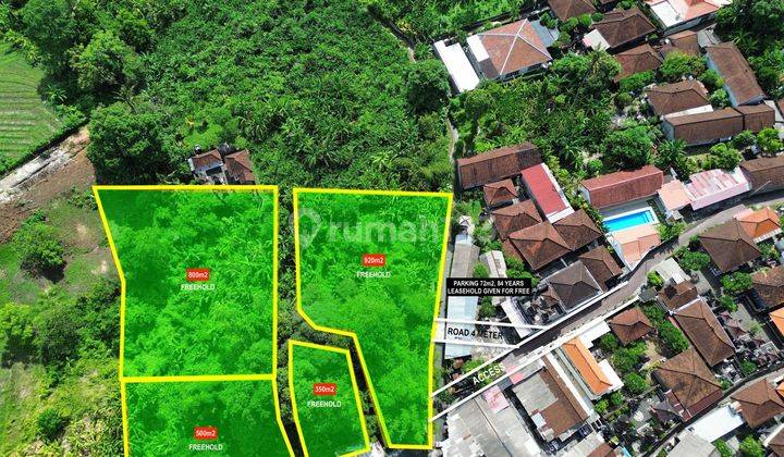 Land For Sale In Padonan Canggu 2