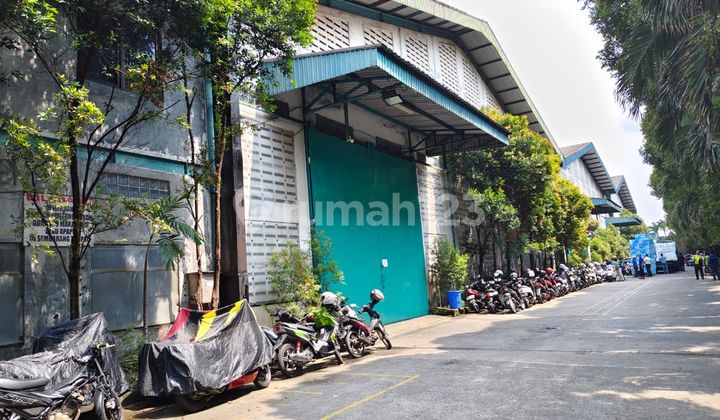 Jarang Ada Gudang di Kawasan Cikupa Mas, Strategis Dekat Tol Cikupa Jarang Ada Gudang di Kawasan Cikupa Mas, Strategis Dekat Tol Cikupa