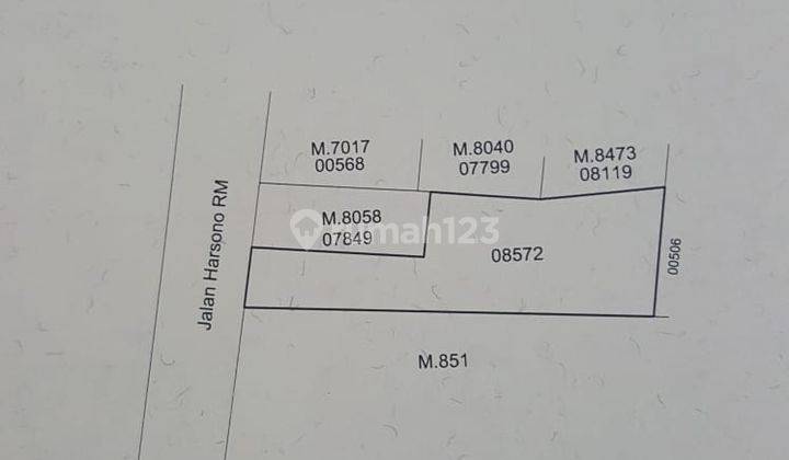 Tanah Matang di Pinggir Jalan Ragunan 2