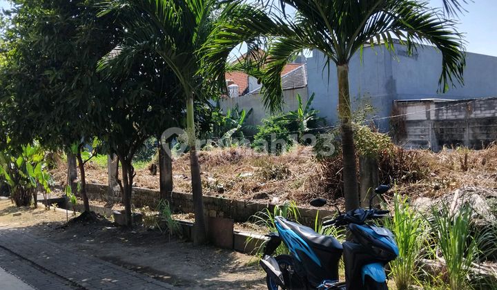 Tanah Di Pusat Kota Surabaya Dekat Plasa Marina Tanah Di Pusat Kota Surabaya Dekat Plasa Marina