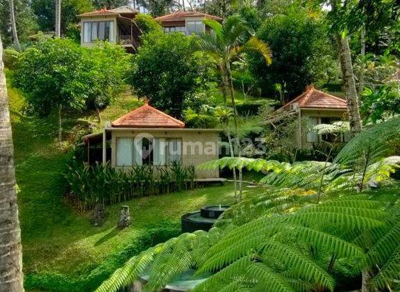 Dijual Cepat Villatel Ubud Utara, Gianyar Bali 2