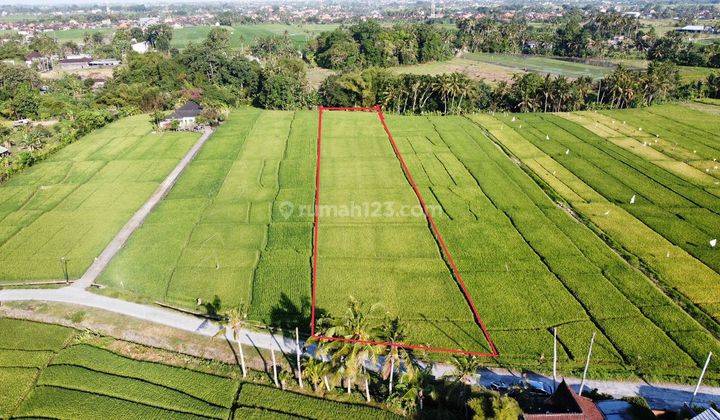 Land with views of rice fields & rivers in Kedungu Bali 1