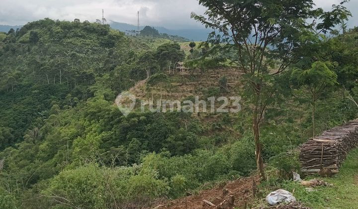 Tanah Daerah Cukul Pangalengan Tanah Daerah Cukul Pangalengan
