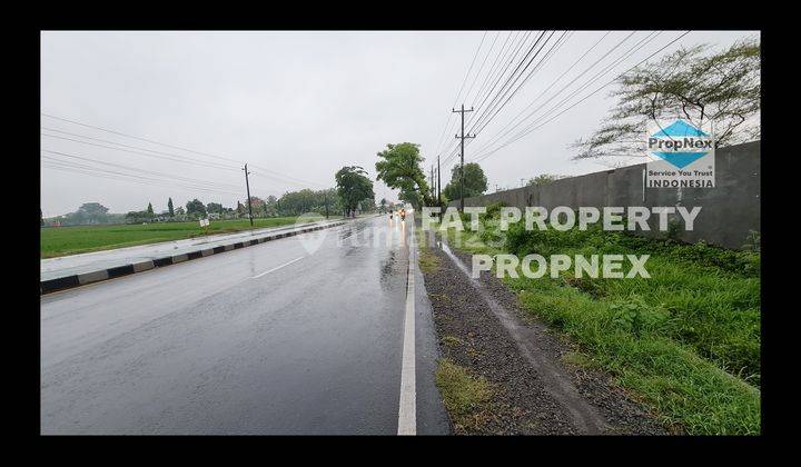 Dijual Lahan Industry di Jl Raya Solo sragen,sragen,jawa Tengah. 1