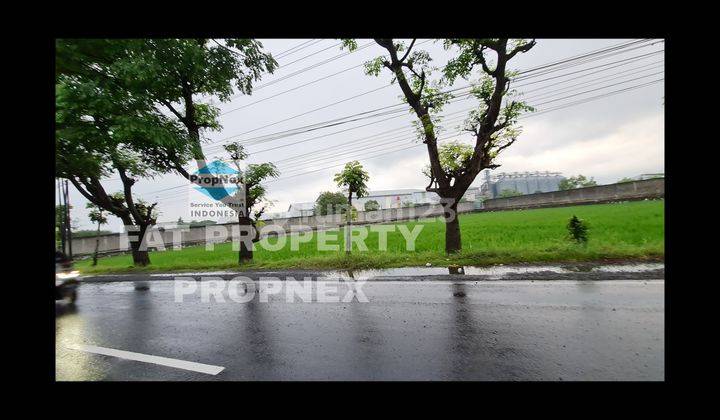 Dijual Lahan Industry di Jl Raya Solo sragen,sragen,jawa Tengah. 7