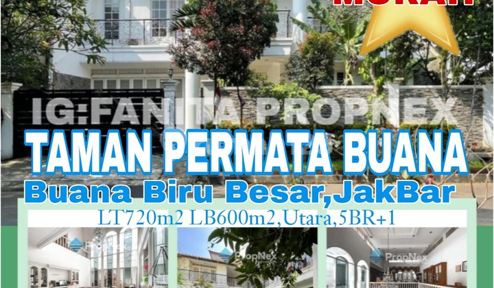 MURAH! DIJUAL RUMAH BAGUS DI TAMAN PERMATA BUANA,JL BUANA BIRU BESAR,JAKBAR. MURAH! DIJUAL RUMAH BAGUS DI TAMAN PERMATA BUANA,JL BUANA BIRU BESAR,JAKBAR.