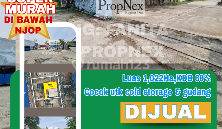 SUPER MURAH! DI BAWAH NJOP! Dijual lahan di Jl Marlina, Muara Baru,Jakarta Utara.