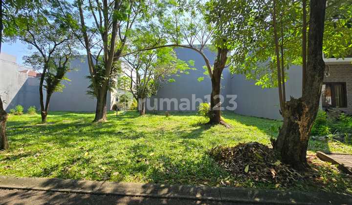 For Sale: The Icon Ritzone BSD Corner Lot