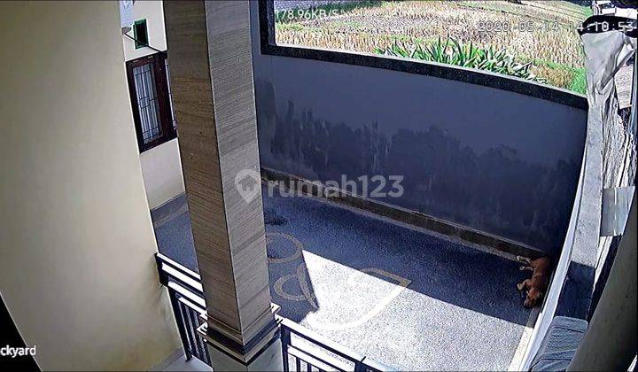 Rumah Siap Huni Furnished Jl. Subak Dalam Denpasar Utara Bali 4