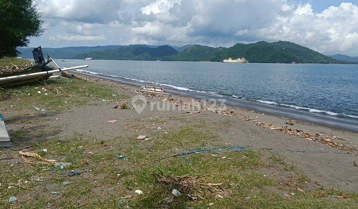 Tanah Kavling Tepi Pantai Cemara Lembar Lombok Barat Ntb 1