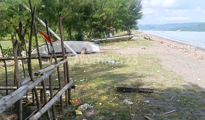 Tanah Kavling Tepi Pantai Cemara Lembar Lombok Barat Ntb 4