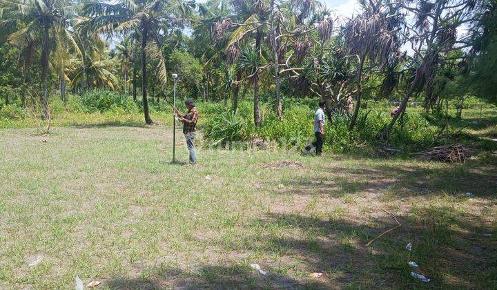 Tanah Kavling Tepi Pantai Cemara Lembar Lombok Barat Ntb 8