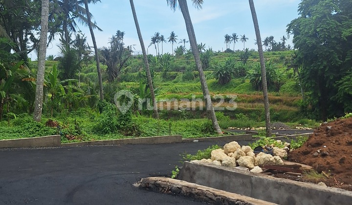 Tanah Kavling Perumahan 5 Menit Dari Pantai Saba Gianyar Bali Tanah Kavling Perumahan 5 Menit Dari Pantai Saba Gianyar Bali