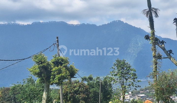 Active Garden Land 1460m2 View of Lake Beratan Bedugul Bali