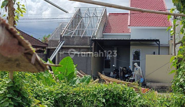 Rumah Baru Siap Huni  3 Kamar Tidur jl. Sading Dekat Puspem Badung Bali 2