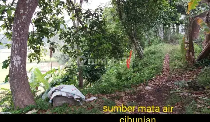 Rumah Cocok Untuk Villa Rumah Pensiun Dengan Kolam, Mushola, Kebun Dan Mata Air Rumah Hitung Tanah  2