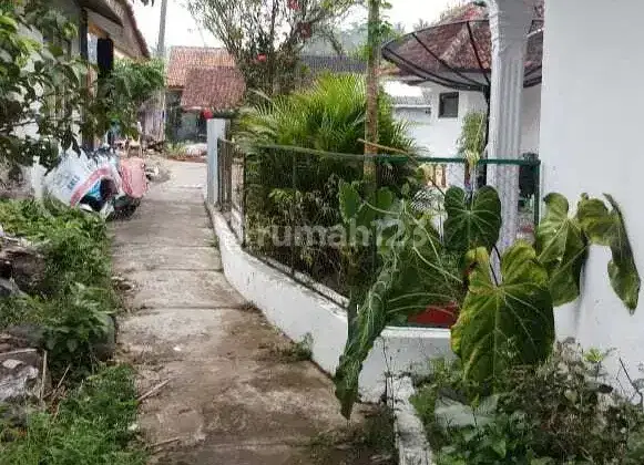 Rumah Cocok Untuk Villa Rumah Pensiun Dengan Kolam, Mushola, Kebun Dan Mata Air  2