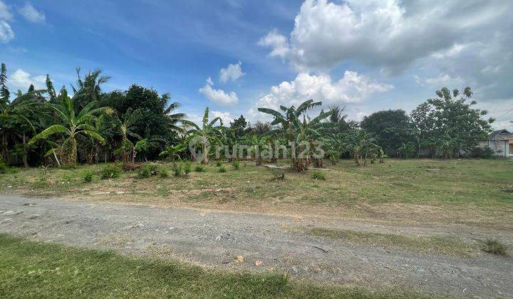 Di Jual Tanah Serang Banten Peruntukan Perumahan 1