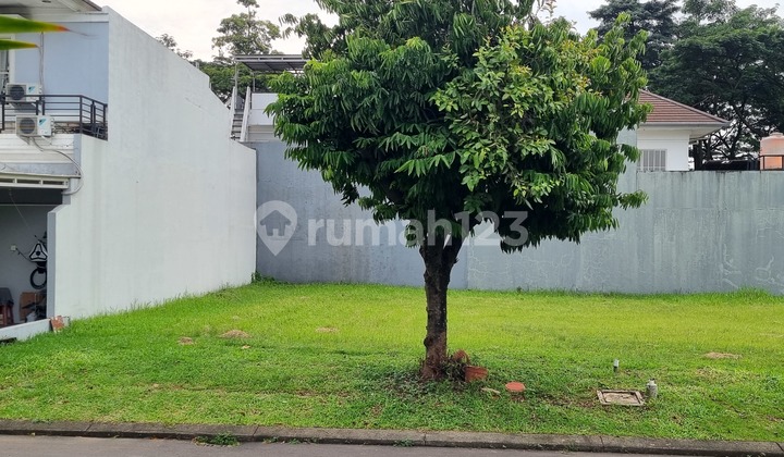 Plot Land Facing Ready to Build at Sutera Olivia Alam Sutera, Serpong, Tangerang Plot Land Facing Ready to Build at Sutera Olivia Alam Sutera, Serpong, Tangerang