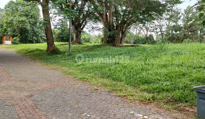 Kavling Badan Pohon Sangat Rindang 1