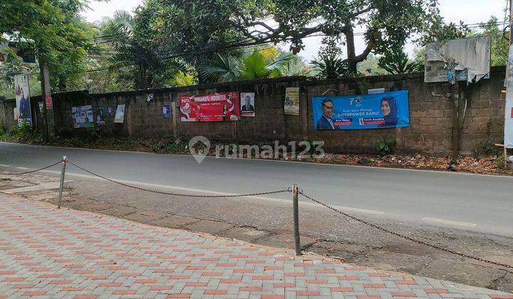 Tanah Nempel Sekolah Atalia & Sebrang Candlr Tree 1