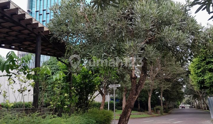 TERMURAH REGENTOWN 8 X 15 2