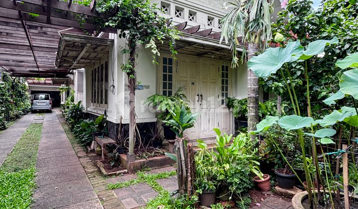 Dijual Rumah Di Menteng Jakarta Pusat Lokasi Strategis Dijual Rumah Di Menteng Jakarta Pusat Lokasi Strategis