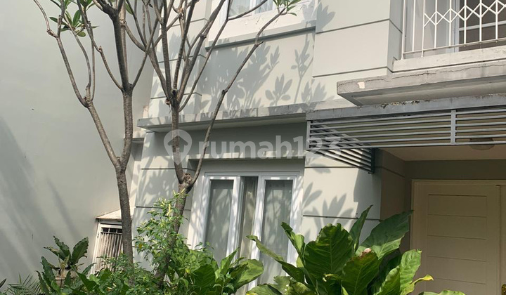 Rumah Nyaman Ditengah Kota