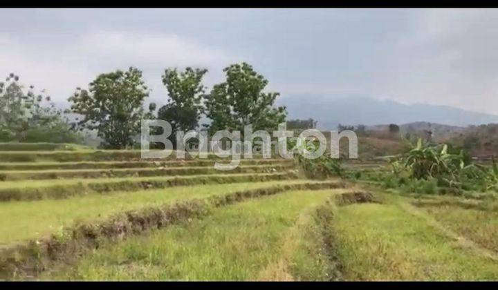 TANAH STRATEGIS VIEW GUNUNG YANG SEJUK DAN NYAMAN di MOJOKERTO 2