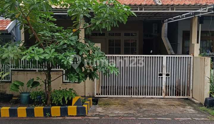 Pandugo Siap Huni Murah