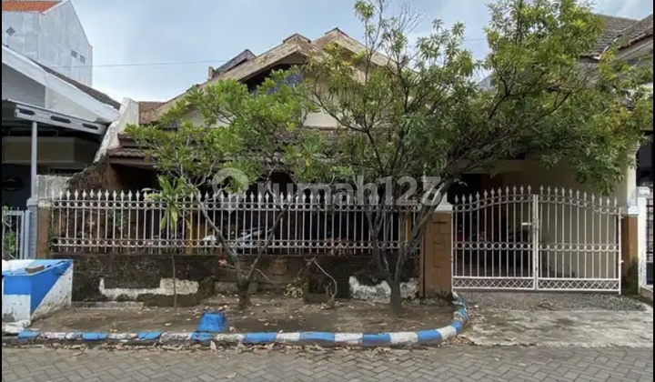 Pondok Chandra Cluster Palem Termurah Row Lebar