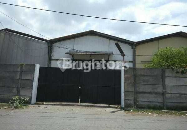 Cheapest Warehouse Osowilangun Cheapest Warehouse Osowilangun