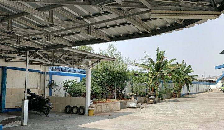 Gudang Mangga Ubi Kapuk Peternakan Luas 4982 1