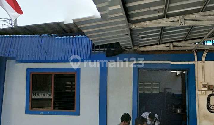 Gudang Mangga Ubi Kapuk Peternakan Luas 4982 3