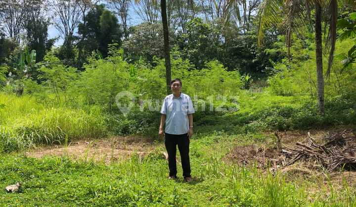 Dijual Tanah Ciseeng, Bogor Luas 1,6 Hektar, SHM