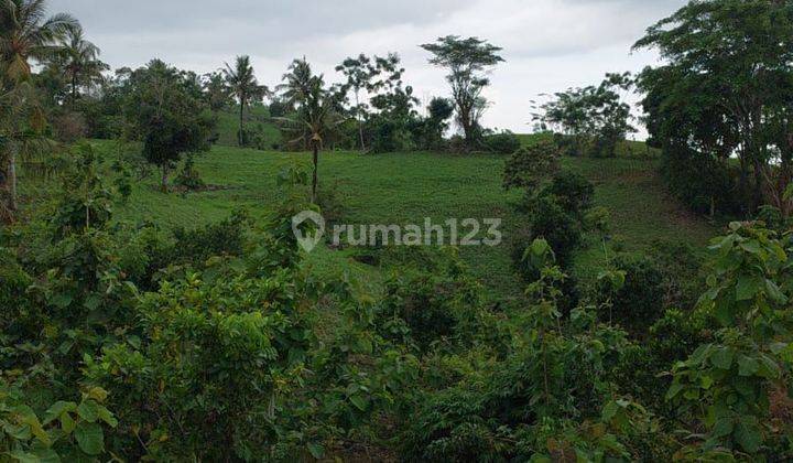 Dijual Murah Lahan Untuk Wisata, Villa Sekotong Tengah  2