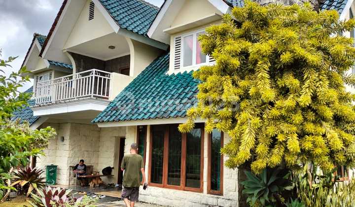 Cheap Sale Villa with Swimming Pool Spacious Garden