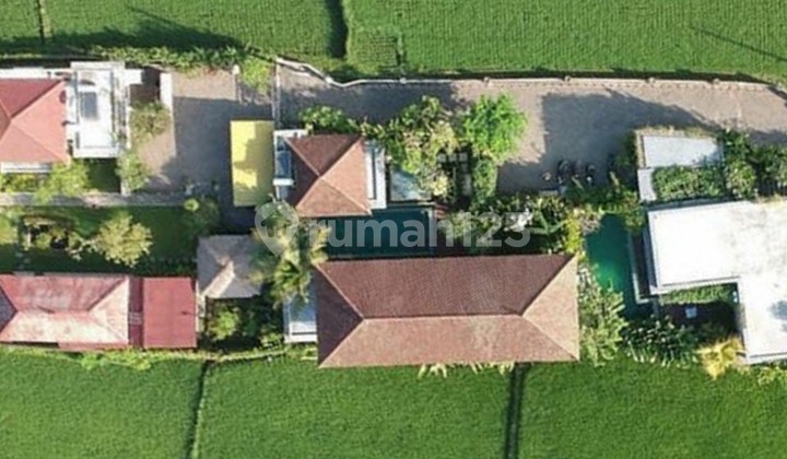 Aranata Ubud Stunning Cozy 3 Ensuite Bedroom, 15 Min To Central Ubud