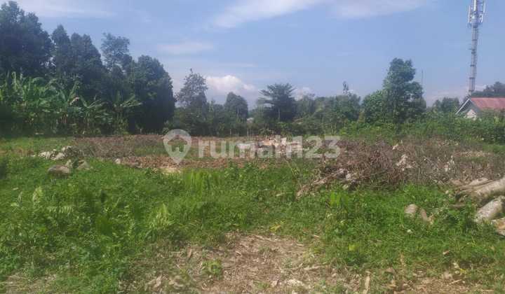 For Sale A Plot of Land Area 4980 Square Meters Quick Sale Negotiable Price. For Sale A Plot of Land Area 4980 Square Meters Quick Sale Negotiable Price.