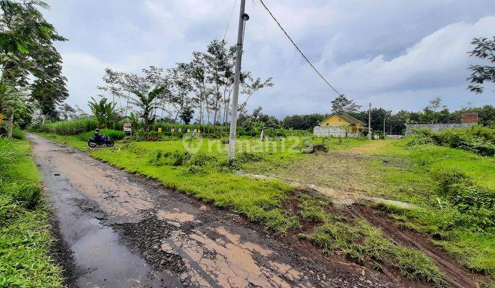 Tanah Saptorenggo Pakis Malang Dijual Murah B.u Dekat Bandara Abd 2